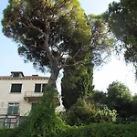 Surprise Dubrovnik